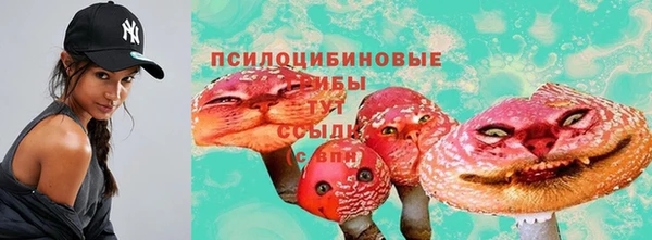 твердый Алексин