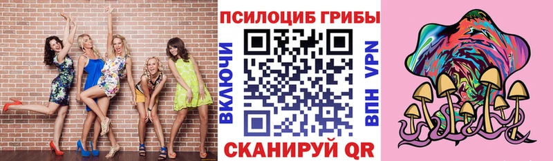где можно купить наркотик  Сосновый Бор  ссылка на мегу сайт  Псилоцибиновые грибы прущие грибы 
