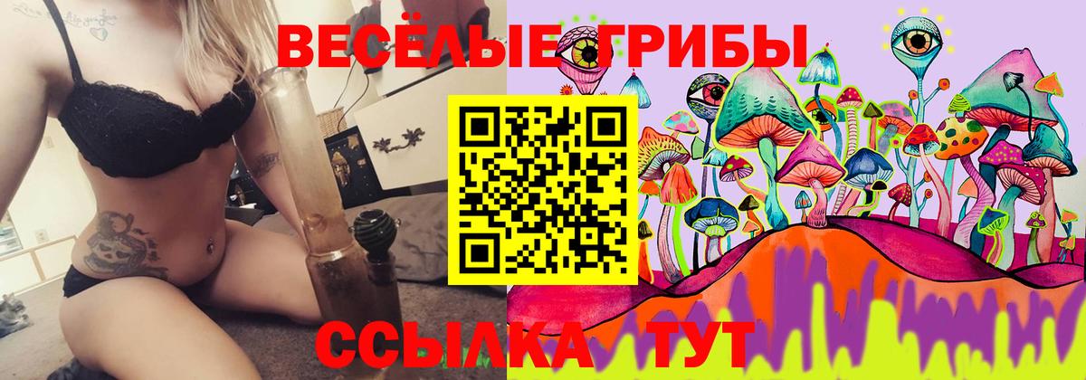 Галлюциногенные грибы Cubensis  Галлюциногенные грибы GOLDEN TEACHER  Сосновый Бор  Вход с VPN 