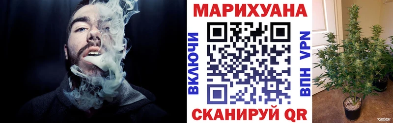 Конопля гибрид  Сосновый Бор 